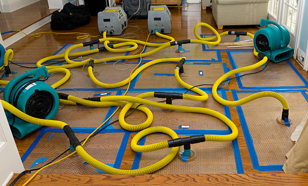 Professional Water Extraction technician working in Waterford, WI